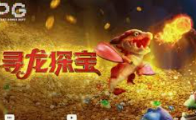 ayx官方app最新版